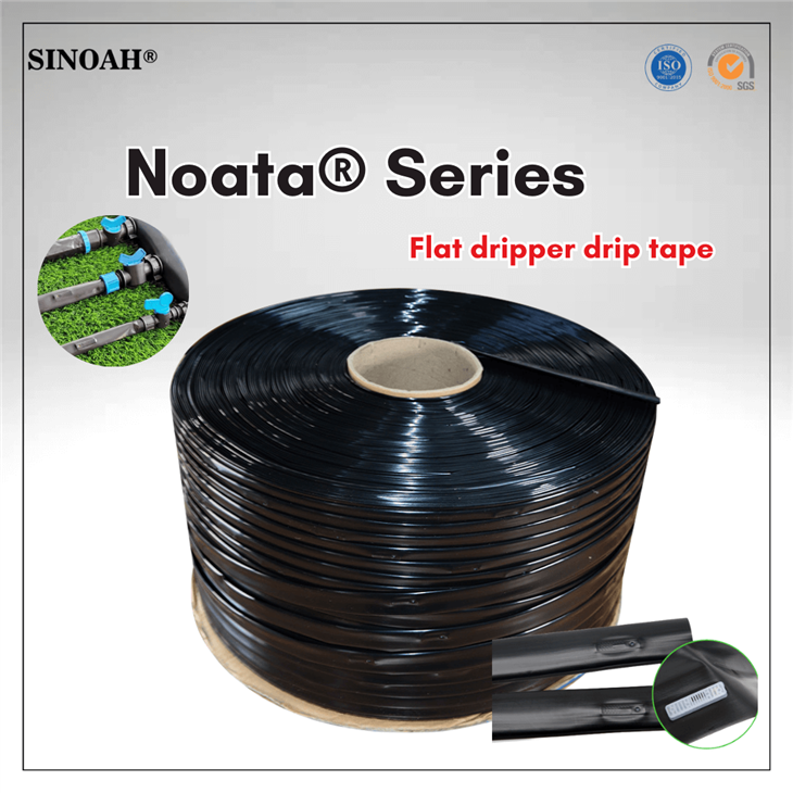 drip tape with flat dripper
